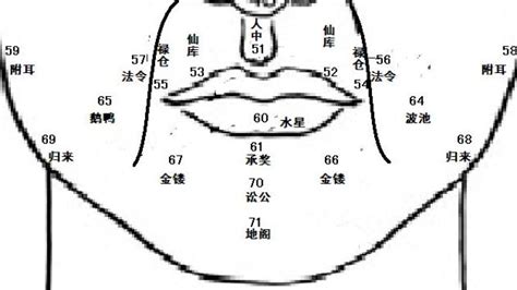 鼻子 面相|麦玲玲面相讲座之 鼻子 – 人相学